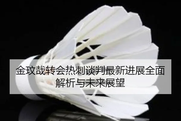 金玟哉转会热刺谈判最新进展全面解析与未来展望